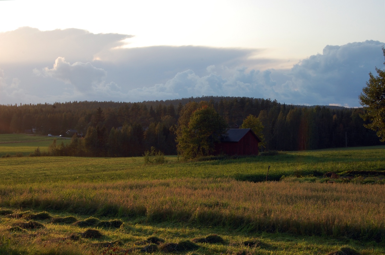 20090904-0032